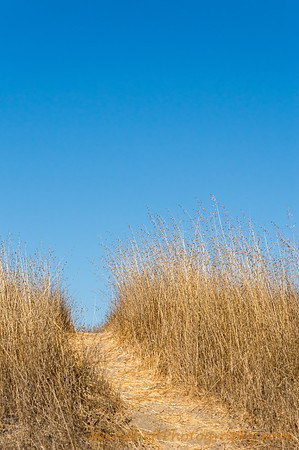 Walking in Gold