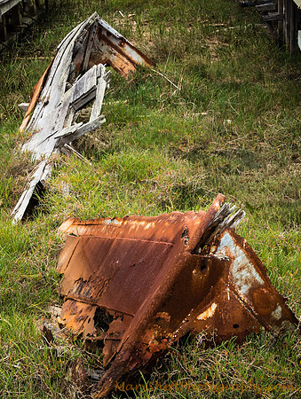 Boat Reclaimed by the Pickleweed