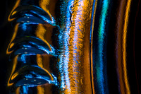 The Bottle