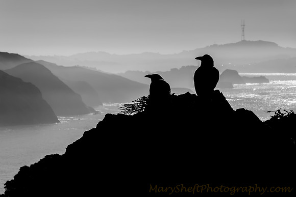 Raven Overlook