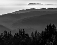 Bolinas Ridge to Point Reyes