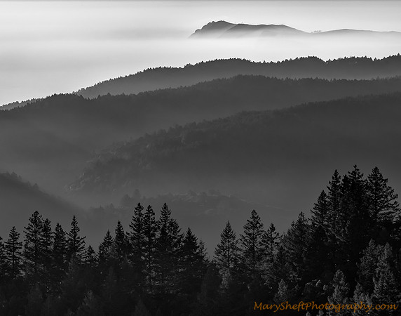 Bolinas Ridge to Point Reyes