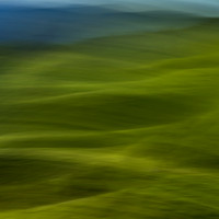 Marin Hills