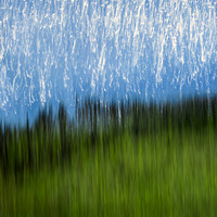 Marsh Light