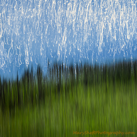 Marsh Light