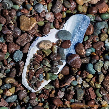 Rodeo Pebbles and Shell