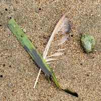 Green on the Beach