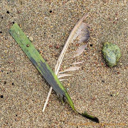 Green on the Beach
