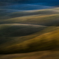 Bolinas Ridge Winter