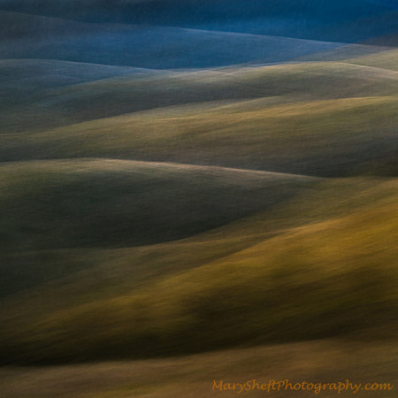 Bolinas Ridge Winter