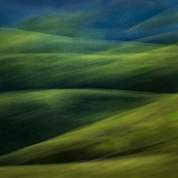 Bolinas Ridge Spring