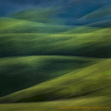 Bolinas Ridge Spring