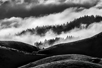 Bolinas Ridge Fog