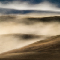 Bolinas Ridge Summer