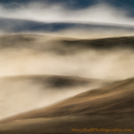 Bolinas Ridge Summer