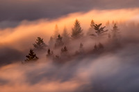 Landscape Palettes