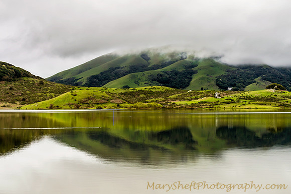 Nicasio Fog Reflection