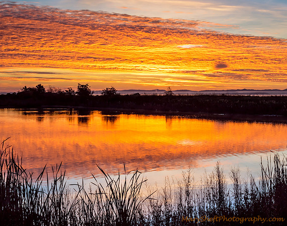 Molten Marsh