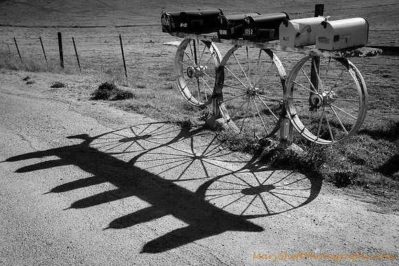 Country Mailbox Shadow
