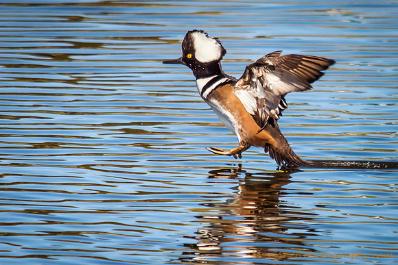 Landing