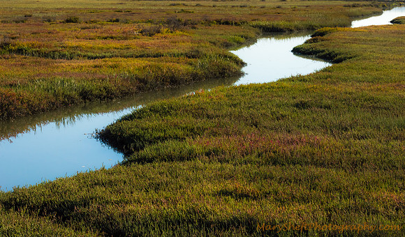 Ribbon of Marsh