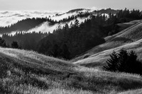 Where the Fog and Mountain Meet