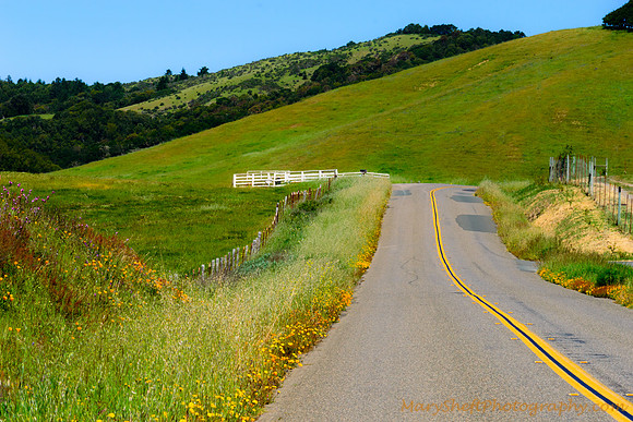 Hicks Valley Road