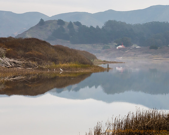 Misty Morning at Rodeo Lagoon