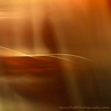 Sand Dunes