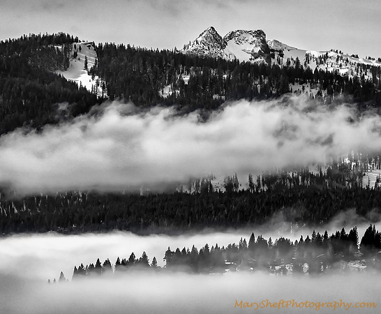 Tahoe Fog