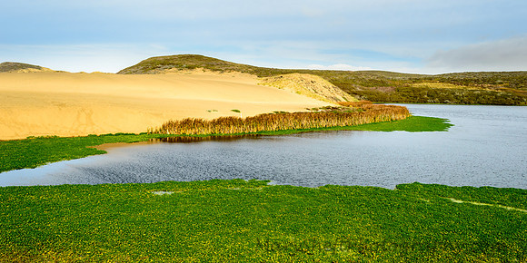 Abbott's Lagoon